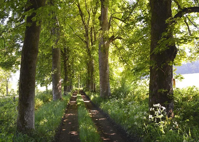 Charming Castle In Hébergement de vacances Roumont