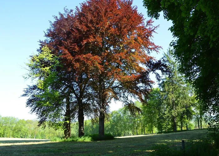 Hébergement de vacances Charming Castle In